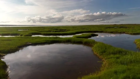 Low Aerial Flight Over Salt Marsh Tidal Pools, PEI Wetland Stock Footage 341363519