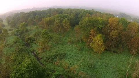 Low aerial flight over trees in the morning fog Video stock 56402603