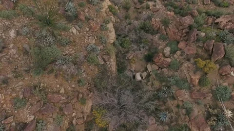 Low Aerial Flight Overhead Rugged California Desert Mountain Vertical Stock Footage 146759975