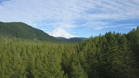 Low aerial flying over cascade range mountains in Oregon, North America. Stock Footage 122063965