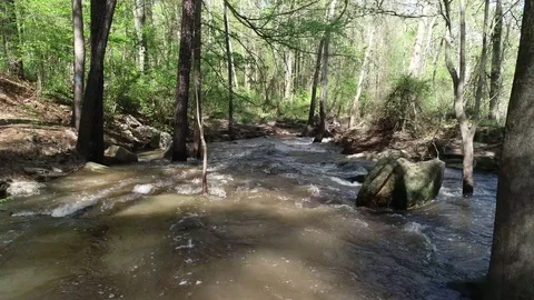 Low Aerial of Forest River Stream Video stock 114890749