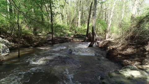 Low Aerial of Forest Stream Video stock 114890732