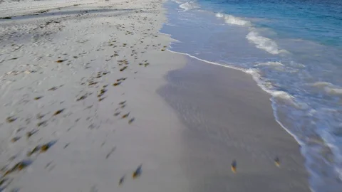 Low Aerial Over Coral Beach Shoreline, Freeport, Grand Bahama, Bahamas Stock Footage 105140997