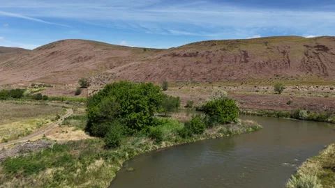 Low aerial over Malheur River in spring in eastern Oregon in high desert hills Stock Footage 335733296