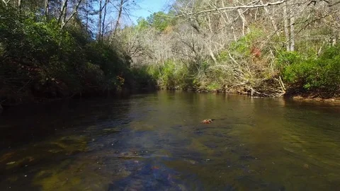 Low Aerial Over Mountain Stream in the Fall, 4K Stock Footage 71099700