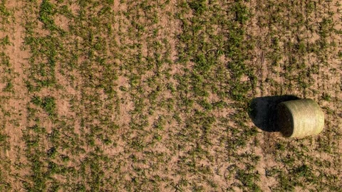 Low aerial over a round hay bale in a field 스톡 동영상 345531173