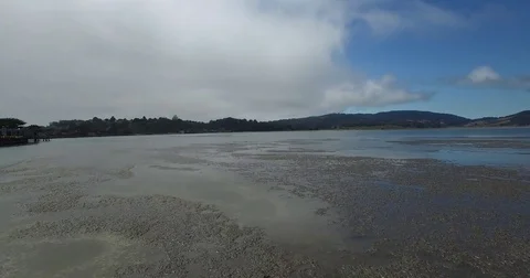 LOW AERIAL OVER TIDAL MARSH Stock Footage 74930859