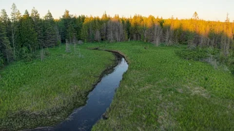 Low aerial perspective follows a reflective creek curving across a grassy Stock Footage 341994628