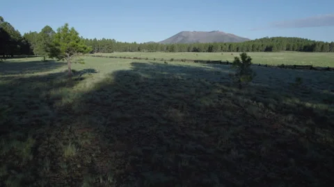 Low aerial pullback of a scenic forest meadow Stock Footage 245462043