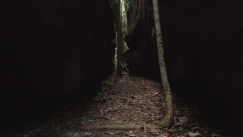 Low aerial pulls back over the ground of the tunnels in Guaviare, Colombia 스톡 동영상 109191861