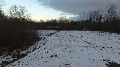 Low aerial push across winter field to trees Stock Footage 86294813
