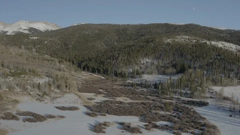 Low aerial pushes in to thick pine tree mountain ridge in snowy Colorado Vidéo 122141433