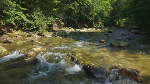 Low aerial shot of Aurach river water surface and forest in Altmunster, Austria Stock Footage 331075875