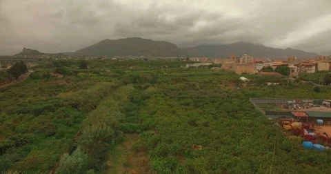Low Aerial shot over Palermo fields Stock Footage 76877138