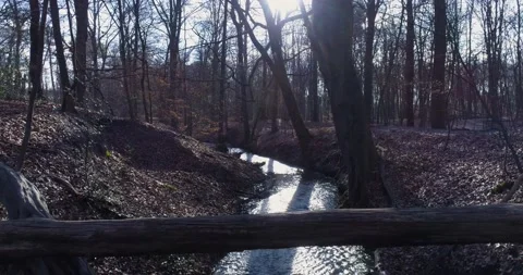 Low Aerial Small winter stream creek through cold woods sun Stockbeeldmateriaal 232022231
