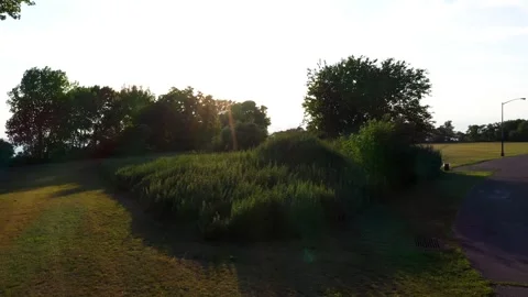 Low Aerial Sunset View of Tall Grass in Brooklyn Park 動画素材 337901567
