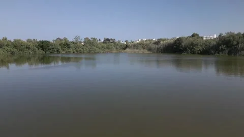 Low Aerial View of Calm Lagoon With Vegetation Edges, Maristany, Mallorca Stock Footage 340589417