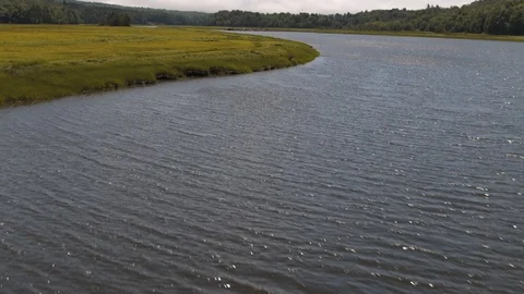 Low Aerial View of Stream Stock Footage 95564886
