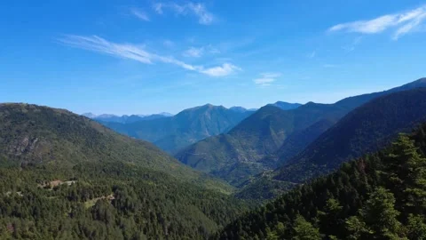 Low aerial view through dense pine treetops with distant mountain peaks Stock Footage 343943725