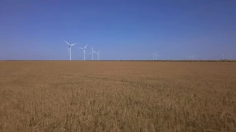 Low aerial of a wheat field with wind turbines Stock Footage 113157070