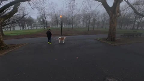 A low altitude aerial view in Flushing Meadows Corona Park on a foggy morning Stock Footage 333345031