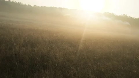 Low altitude cinelifter drone flight during a misty day Stock Footage 163950174