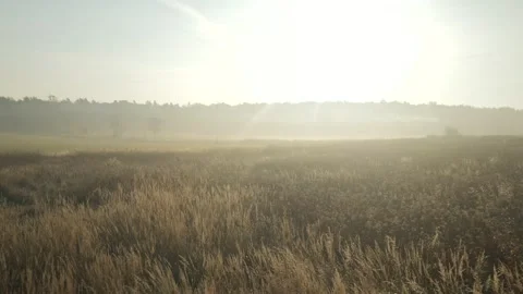 Low altitude cinelifter drone flight during a misty day Stock Footage 163950503