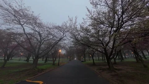 A low altitude drone flight in Flushing Meadows Corona Park on a foggy morning. Stock Footage 333347429