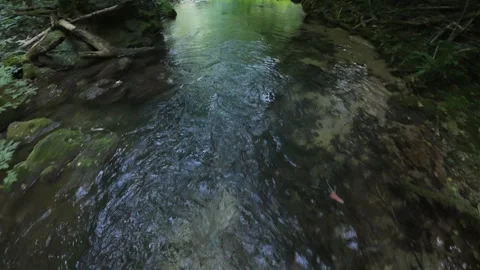 Low altitude drone flight forward over a natural river stream water surface Stock Footage 341838369