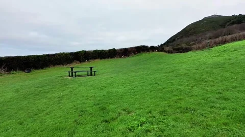 Low-altitude drone flight moving back and forth over lush green grass in Bray Stock Footage 303358314