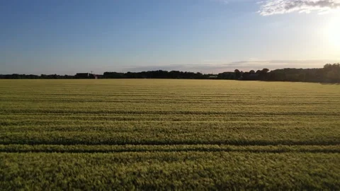 Low altitude drone flight over a field in Hamm, Germany 스톡 동영상 134494647