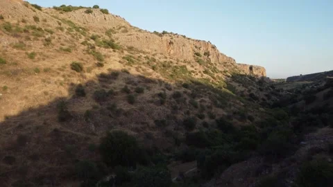 Low altitude drone flight over a golden, sunlit grassy hillside. Stock Footage 154751546