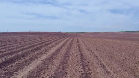 Low altitude drone flight over freshly planted potato field with perfect furrows Stock Footage 305927701