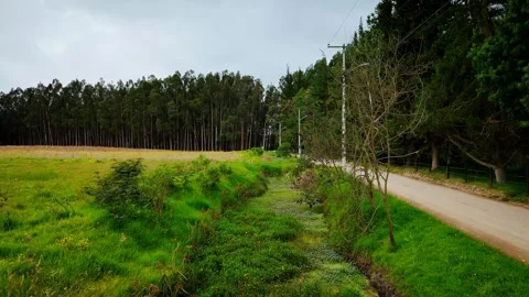 Low altitude drone flight over open green field Stock Footage 316113023