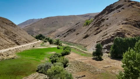 Low Altitude Drone Flight Over Green Farmland in Ghorband Valleyv Vidéo 319078338