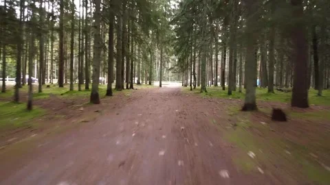 Low altitude drone flight over forest trail Stock Footage 321423213