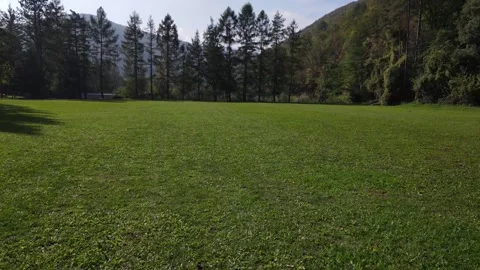 Low altitude drone flight over a meadow surrounded by trees and lush vegetation Stock Footage 331473493