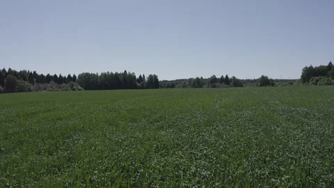 Low altitude drone flight over field Видео 331740586