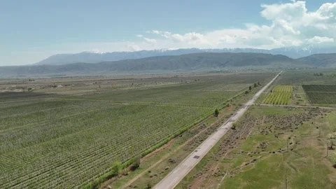 Low altitude drone flight over agricultural fields in Kazakhstan Stock Footage 334886452