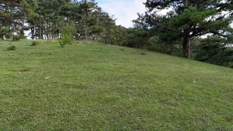 Low-altitude drone flight over Grass Hill in Da Lat, Vietnam 動画素材 337400452