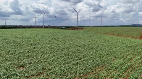 Low-altitude drone flight over farmland with wind turbines in Gia Lai 스톡 동영상 337404440