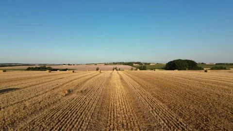 Low Altitude Drone Flyover of Harvested Field with Hay Bales Stock Footage 339291004