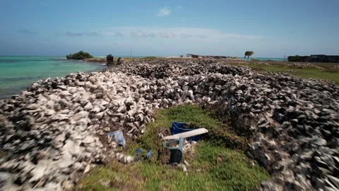 Low-altitude drone flyover of large conch sea shell piles on a remote Caribbean Vídeo Stock 340219993