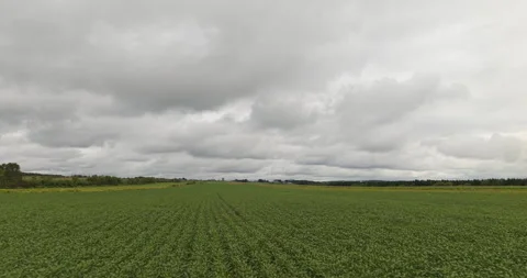 Low Altitude Drone Push Forward Over Field in Quebec Video stock 327327055