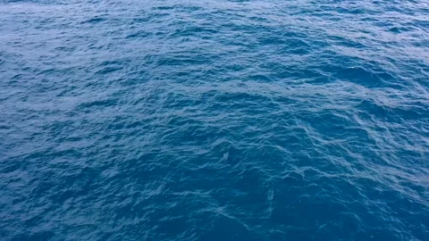 Low-Altitude Drone Tracking Ocean Swell – Calm Sea Surface in Martinique Stock Footage 317562931
