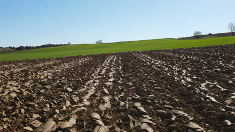 Low altitude flight over field Stock Footage 153236906