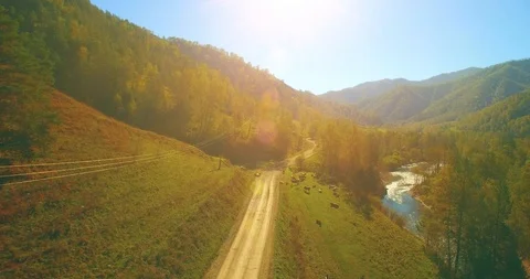 Low altitude flight over fresh fast mountain river with rocks at sunny summer Stock Footage 115091128