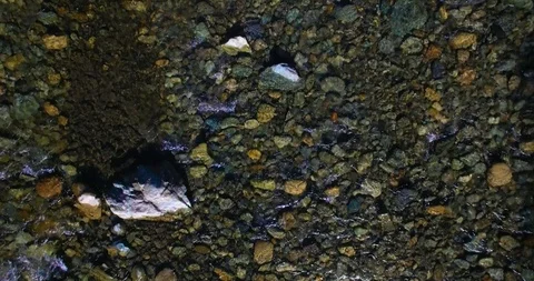 Low altitude flight over fresh fast mountain river with rocks at sunny summer Stock Footage 127352129