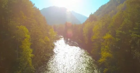 Low altitude flight over fresh fast mountain river with rocks at sunny summer Stock Footage 237909125