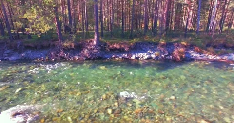 Low altitude flight over fresh fast mountain river with rocks at sunny summer Stock Footage 294488231